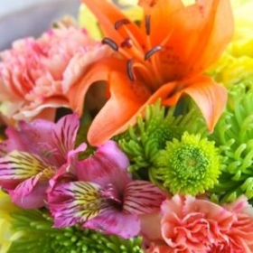 orange, pink, yellow, and green flowers