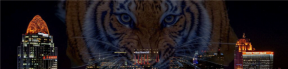 Bengals Tiger over a photo of the skyline of downtown Cincinnati