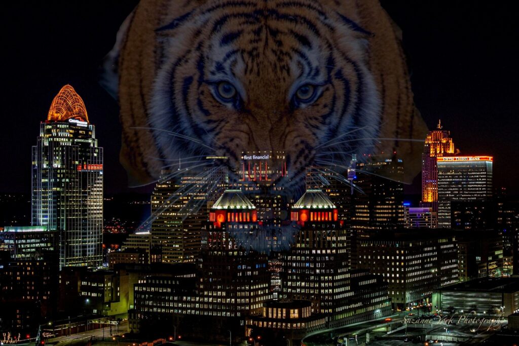 Hometown Bengals Road to the Super Bowl