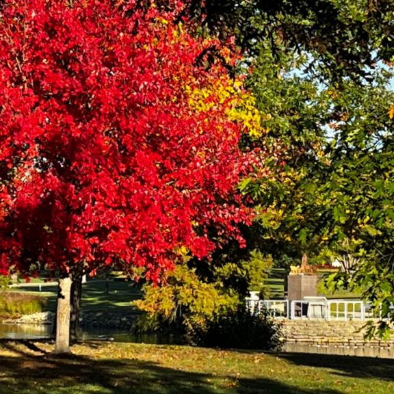 Thomas Edward Hoppenjans